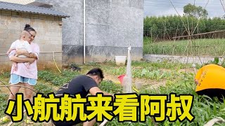 肥姐种的菜吃不完了，叫显恒摘去喂猪，敏锅又抱小航航来监工了【男二号V】