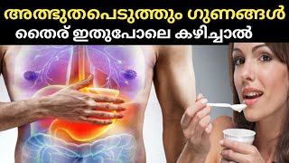 തൈര് എന്ന മഹാ ഔഷധം Nutrition Malayalam!benefits of eating curd daily malayalam Dietician Siny