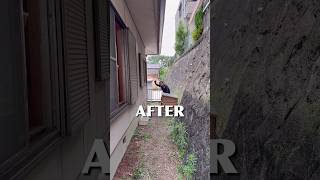 今回はお庭と裏の倉庫の片付け動画になります🐯　#ゴミ屋敷  #ビフォーアフター  #beforeandafter