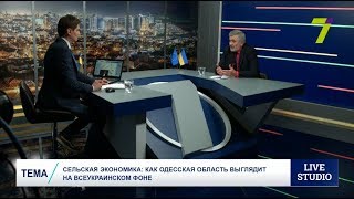 Сельская экономика: Как Одесская область выглядит на всеукраинском фоне