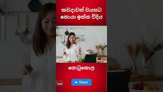 කවදාවත් වයසට නොයා ඉන්න විදිය