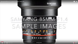 Samyang 85mm f1.4 sample images + sony a7ii