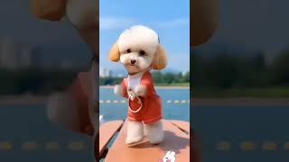 Puppy beautiful dance #cute #0247