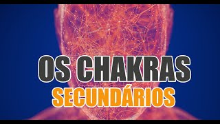 Os Chakras Secundários