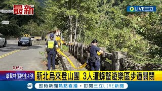 又是蜜蜂惹的禍! 新北烏來登山團 3人遭蜂螫遊樂區步道關閉 兩名女子背部.額頭螫傷 另外一名9歲男童肩膀.額頭受傷送醫治療｜記者｜【LIVE大現場】20231001｜三立新聞台