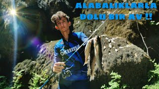 MUHTEŞEM DOĞADA LRF OLTALAR İLE DEREDE ALABALIK AVI / AMAZING TROUT FISHING