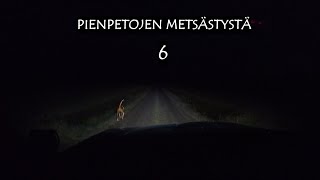 Pienpetojen metsästystä 6/ Small predator hunting 6