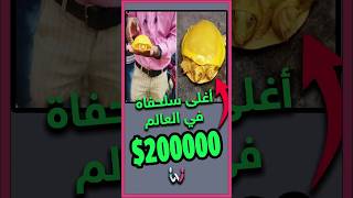 هذه السلحفاة قد تجعلك مليونيرًا! 😱💸