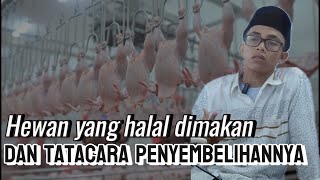 Penjelasan tentang hewan yang halal di makan dan tatacara penyembelihannya.