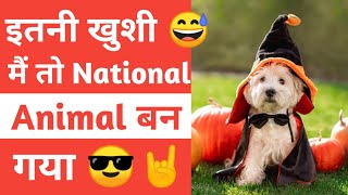 कुत्ता 🐶 किस देश का National animal है 😎🤔। #shorts #ytshorts by Akash Tekam ।।amazing facts।।