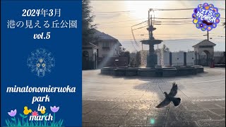 【2024年3月 港の見える丘公園 vol.5】minatonomieruoka park in march