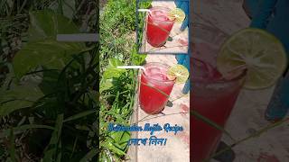 watermelon Mojito Recipe.তরমুজের মোজিটো রেসিপি।#food#foodie#viralvideo #mojitodrink#mojito#melon