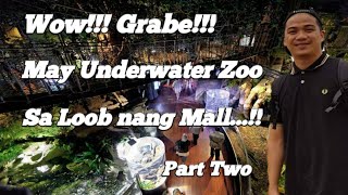 Dubai Mall Underwater Zoo Part 2