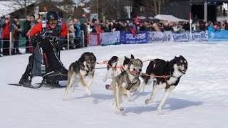 Hundeschlittenrennen Inzell 2017