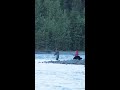 fishing with brown bears in alaska