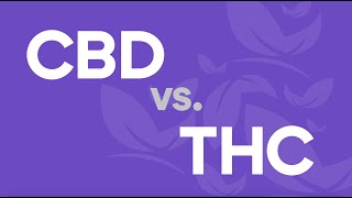 CBD vs THC: What's the Difference?