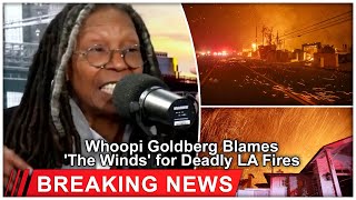 Whoopi Goldberg blames ‘the winds’ for deadly LA fires: ‘It’s nobody’s fault.