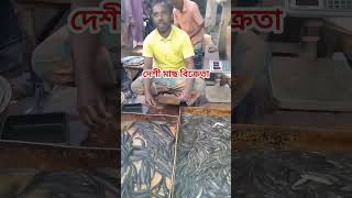 দেশী মাছ বিক্রেতা । Desi fish bikreta । Swadesh BD #fish #মাছের_বাজার #দেশী_মাছ #shorts #shortvideo