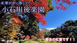 紅葉の小石川後楽園に、行きました。