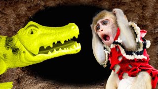 Monkey baby BinBin goes truck crocodiles to pick farm