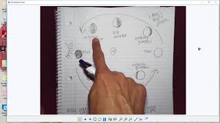 Predicting the Moon phases