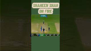 Shaheen Shah 🦅 Afridi On Fire psl 8 final #shorts #youtube #shortvideo