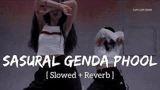 Genda Phool (Slowed + Reverb) Rekha Bharadwaj | AR Rahman | Ajay Lofi Zone