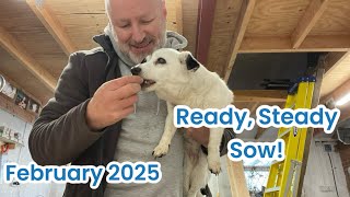 Ready Steady Sow! UK Gardening Vlog February 2025