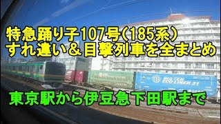 目撃列車を完全紹介・特急踊り子107号（185系）右側車窓より