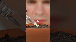 Le fruit le plus RENTABLE à planter ? 🌱 #science