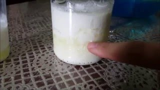 Bulgaros de leche, tips, recomendaciones y consejos.