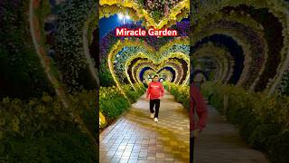 Amazing 💐❤️Miracle Garden UAE