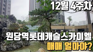 12월4주차) 원당역롯데캐슬스카이엘 매매가격알려드립니다