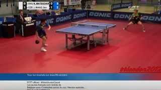 Wang Jian Jun vs Kenji Matsudaira (French League 2015)