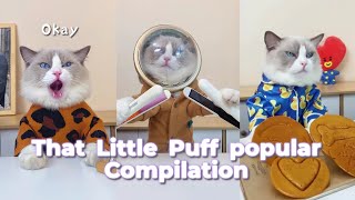 That Little Puff Compilation | the most popular collection1 #thatlittlepuff #catsofyoutube