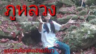 เพลงมนต์รักเมืองเลย เมเปิลแดงที่ภูหลวง