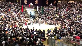 【大相撲トーナメント2020】横綱 白鵬 - 明生 現地より撮影 Grand Sumo Tournament 2020/02/09