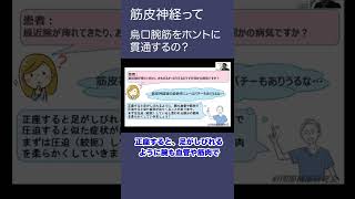 【烏口腕筋と筋皮神経④】腕のしびれを患者さんへわかりやすく説明する