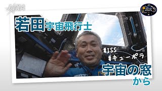 若田宇宙飛行士ISS動画『宇宙の窓から』