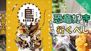 恐竜好きは行くべし【特別展 鳥】当日100％楽しむための徹底予習動画 National museum of nature and science in Tokyo. Exhibition Birds