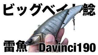 【ビッグベイトC2C】ダヴィンチ190（Davinci190で雷魚\u0026鯰）　夏　8月　八郎潟