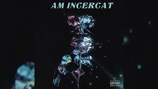 Alexandru221 - Am incercat feat. Andrei Calin (Official Visual)