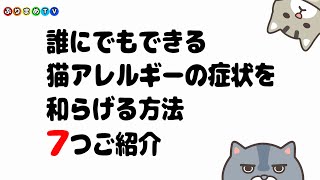 日常的にできる簡単な猫アレルギー対策【ぶりまめTV#111】