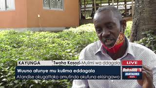 #Agataliikonfuufu: Wuuno afunye mu kulima eddagala. Atandise okugattako omutindo okufuna ekisingawo.