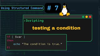 if test and if [ ] for testing a condition #Linux #ShellScripting #ifCondition #shellscripting7