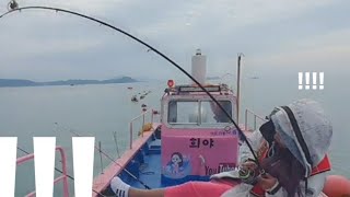 와!!! 대박!! 엄청난놈이 물었다 대물? 지금시기에? 원투낚시는 이 맛으로 하죠..... fishing 핑크 롱치마