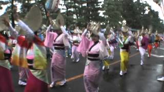 草加ふささら祭り　阿波踊り　南越谷合同連総踊り乱舞　2013.11.4