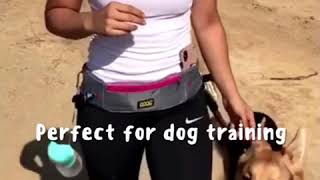 The DOOG Walkie Belt