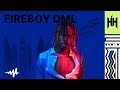 Fireboy DML Performs 