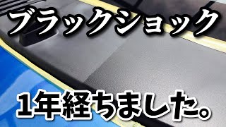 ブラックショック施工から1年経過！現在の状態を大公開【Holts】